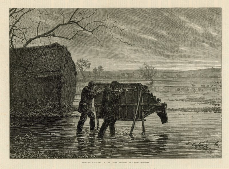 Yukarı Thames Nehri