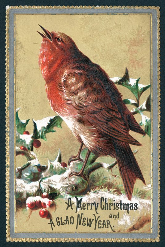 Şarkı söyleyen Robin, Noel Kartı by English School