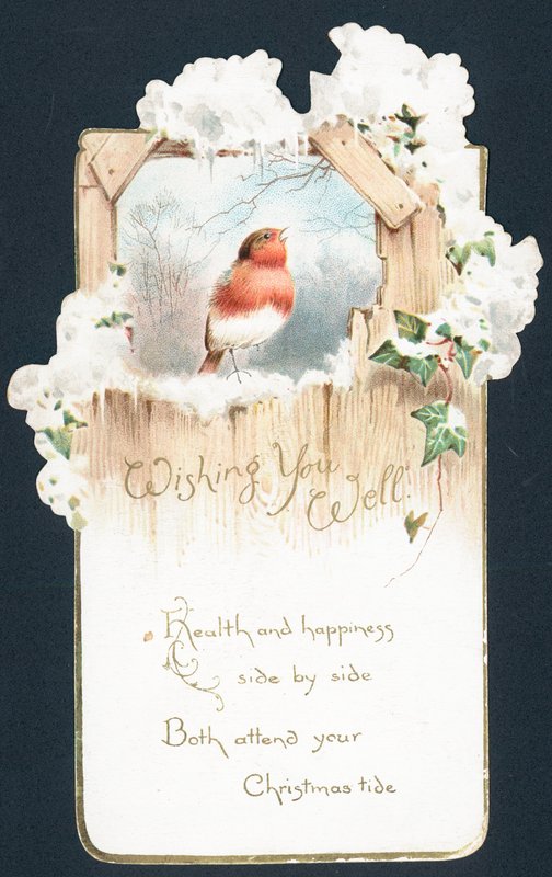 Şarkı söyleyen Robin, Noel Kartı by English School