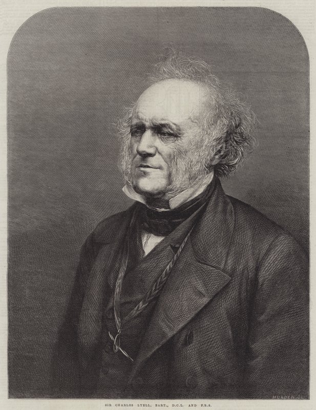 Sir Charles Lyell, Baronet, DCL ve FRS (gravür) by English School