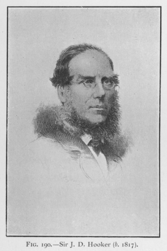 Sir Joseph Dalton Hooker (1817-1911), portre (taş) by English School