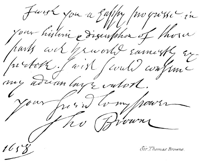 Sör Thomas Browne by English School
