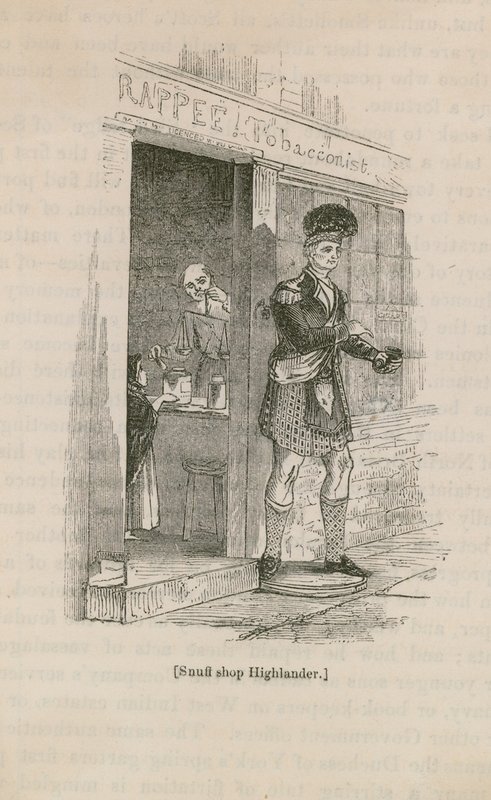 Enfiye Dükkanı Highlander by English School