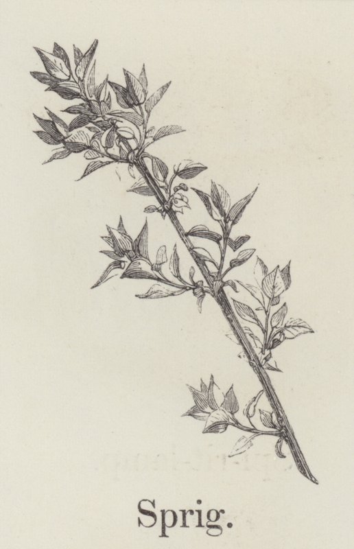 Dal (gravür) by English School