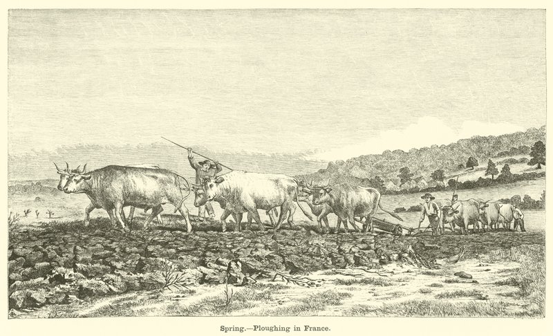 Bahar, Fransa