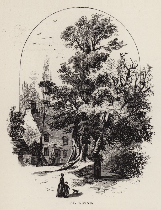 Aziz Keyne (gravür) by English School