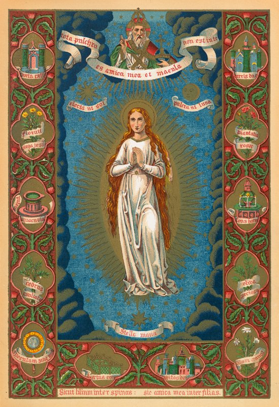 Mary Sokağı by English School