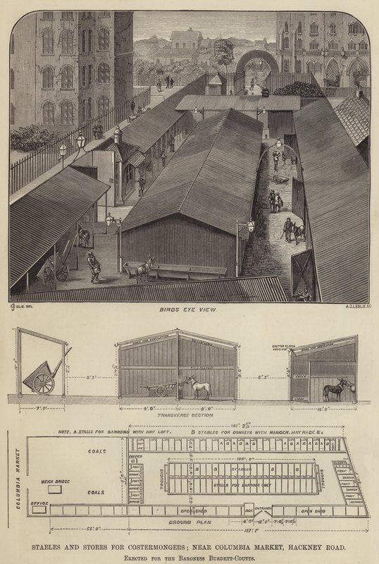 Costermongers için Ahırlar ve Mağazalar, Columbia Market, Hackney Road yakınında, Barones Burdett-Coutts için dikilmiş (gravür) by English School