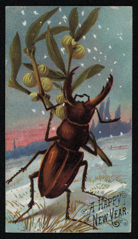 Bir kış sahnesinde ökse otu taşıyan geyik böceği, Noel tebrik kartı (chromolitho) by English School
