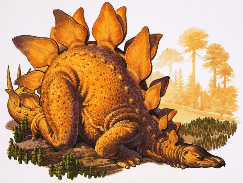 Stegosaurus (kağıt üzerine guaj) by English School