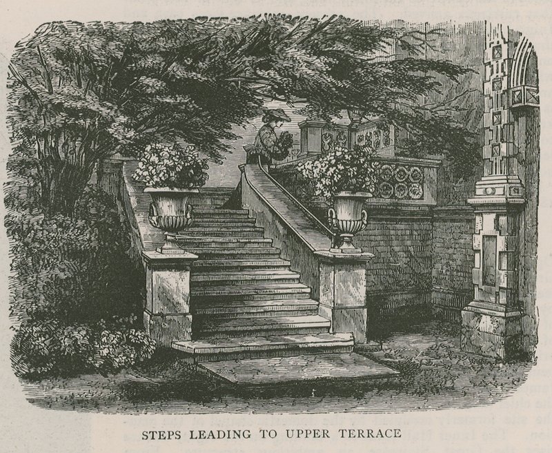 Üst terasa çıkan merdivenler, Holland House by English School