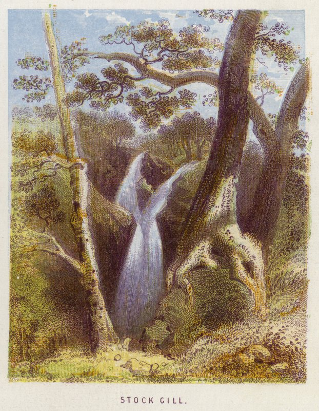Stok Solungaç (renkli taş) by English School
