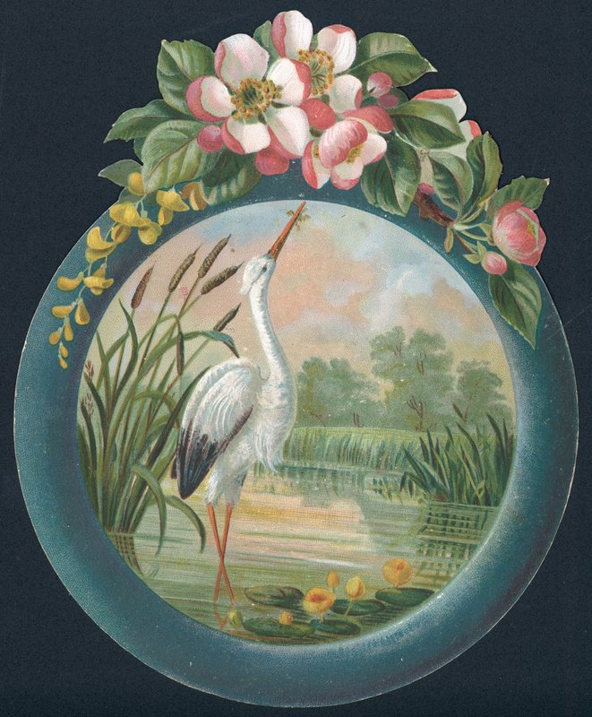Suda duran leylek, Noel kartı by English School