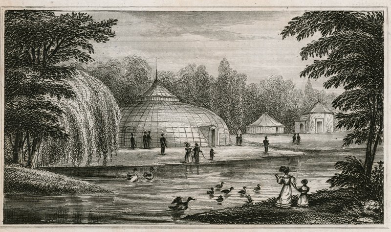 Surrey Hayvanat Bahçeleri by English School