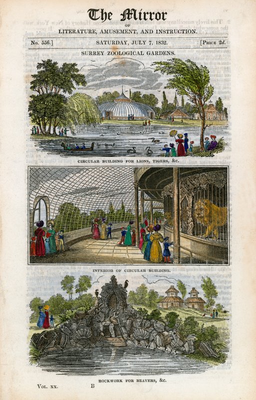 Surrey hayvanat bahçeleri by English School