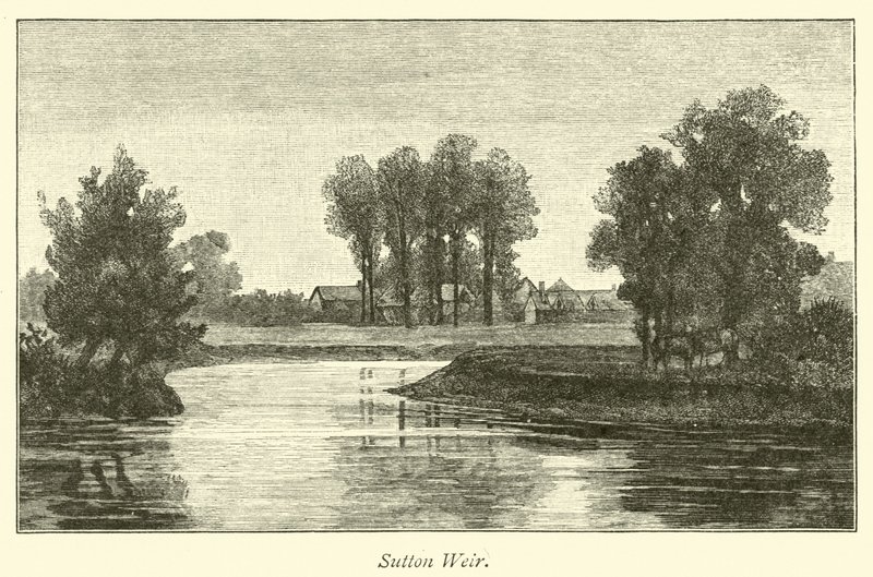 sutton savağı by English School