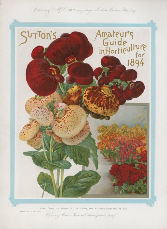 1894 için Bahçıvanlıkta Suttons Amatörler Rehberi by English School