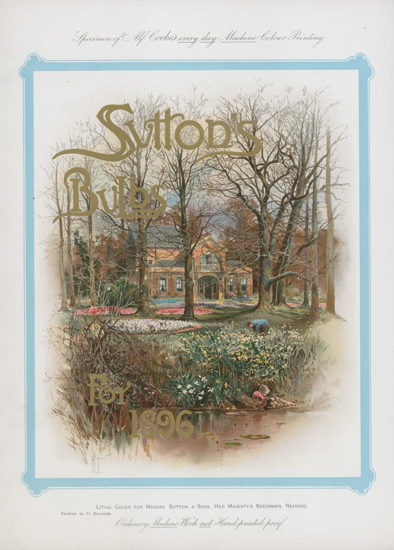 1896 için Suttons Ampuller by English School