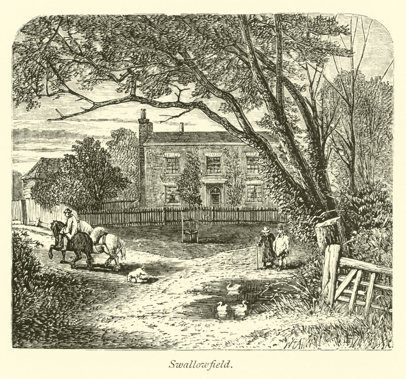 kırlangıç tarlası by English School
