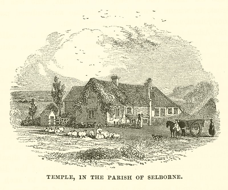 Temple, Selborne Bölgesinde (gravür) by English School