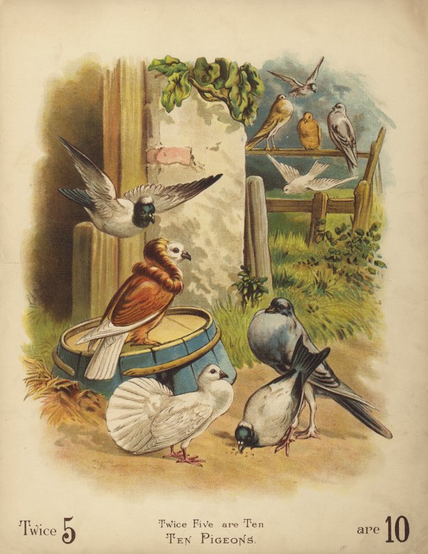 On Güvercin (chromolitho) by English School