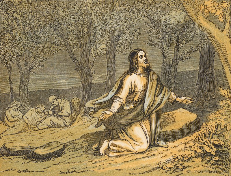Bahçedeki Acı (renkli gravür) by English School