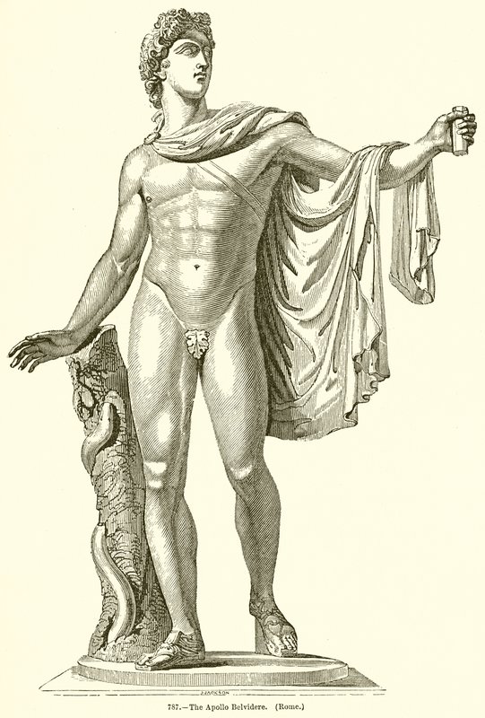 Apollo Belvidere. (Roma) by English School