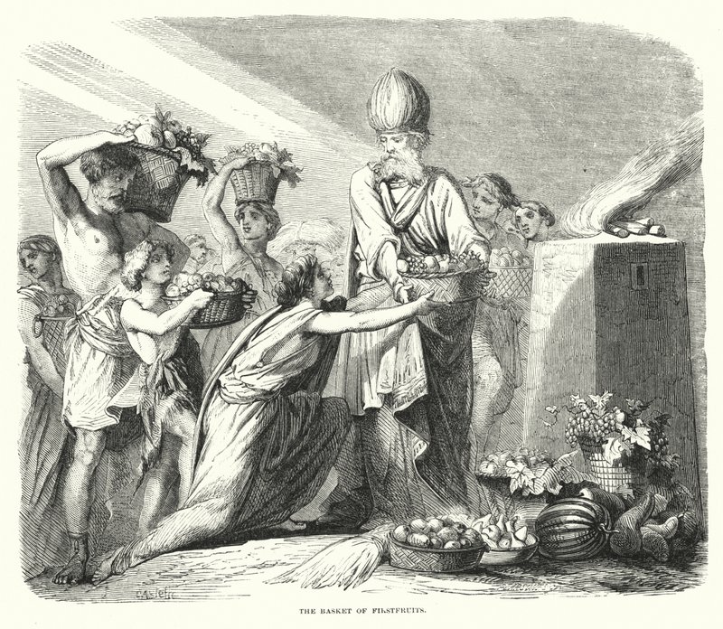 İlk Meyve Sepeti (gravür) by English School