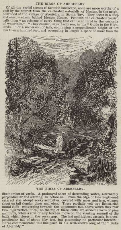 Aberfeldy Kuşları (gravür) by English School