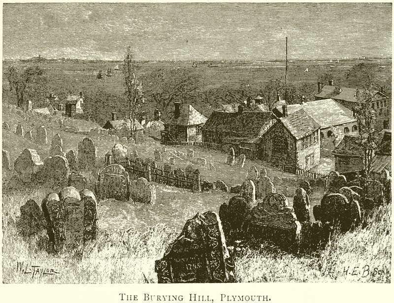 Gömme Tepesi, Plymouth by English School