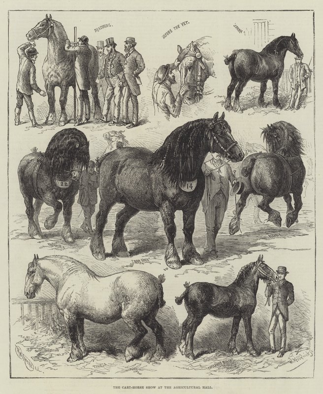 Ziraat Salonundaki Araba-At Gösterisi (gravür) by English School