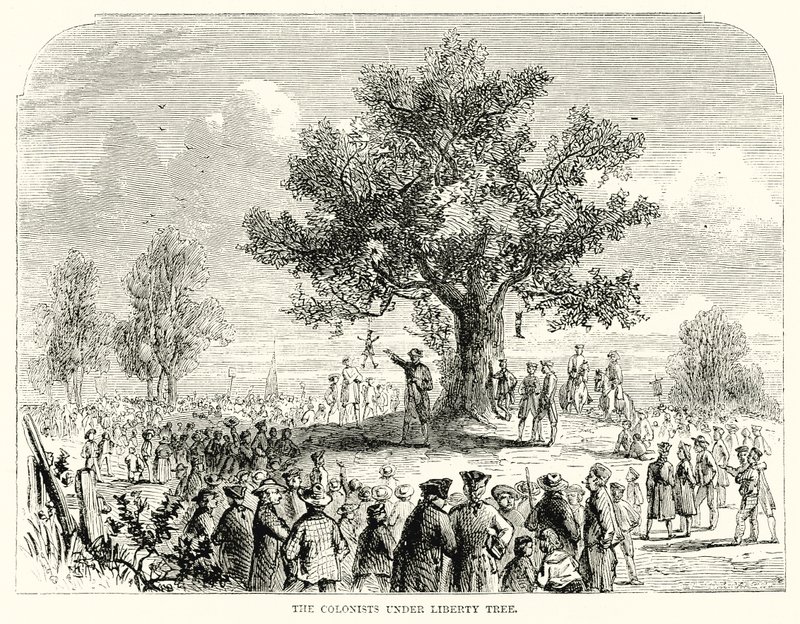 Özgürlük Ağacının Altındaki Sömürgeciler (gravür) by English School