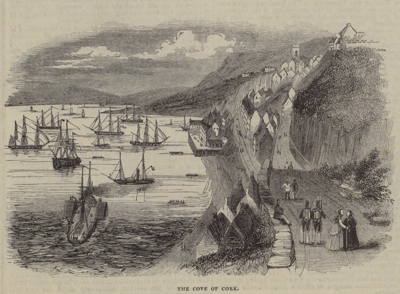 Cork Koyu, İrlanda by English School