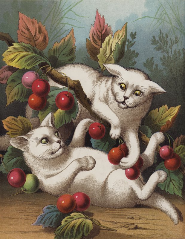 Çapraz Yavru Kedi (chromolitho) by English School