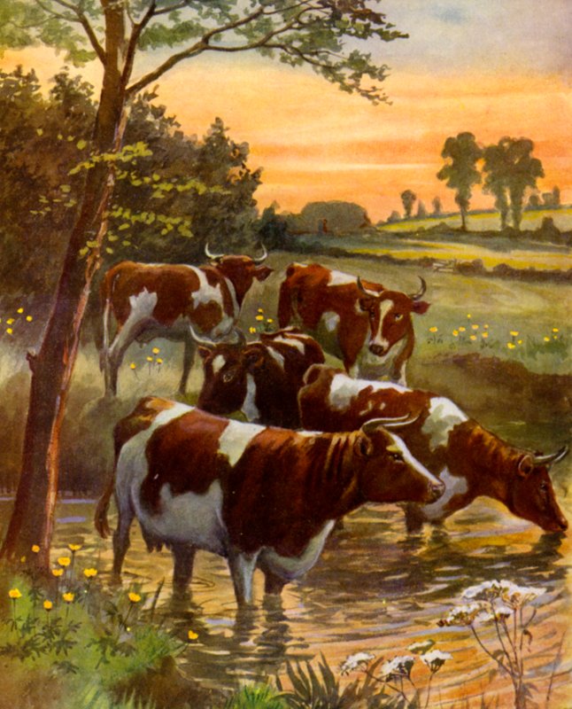 Süt Çiftçisinin Sürü (renkli taş) by English School