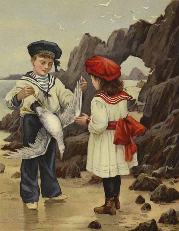 Ölü Deniz martısı by English School