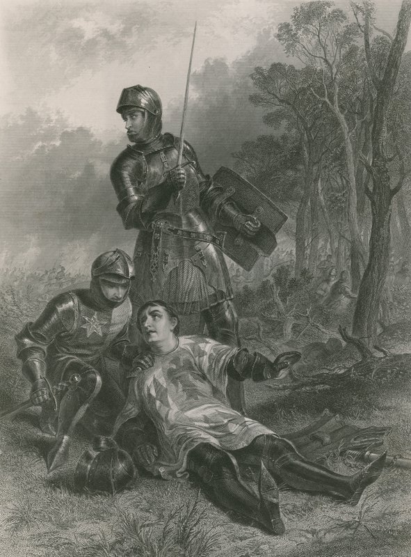 Warwick Kontu, Kral Henry VI