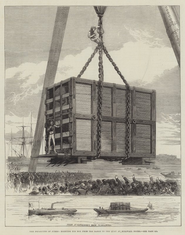 Jumbo'nun, Kutusunu Mavnadan Millwall Rıhtımındaki Rıhtıma Kaldıran Ayrılışı (gravür) by English School