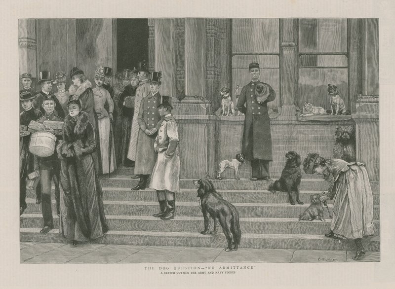 Köpek Sorusu - Giriş yok by English School