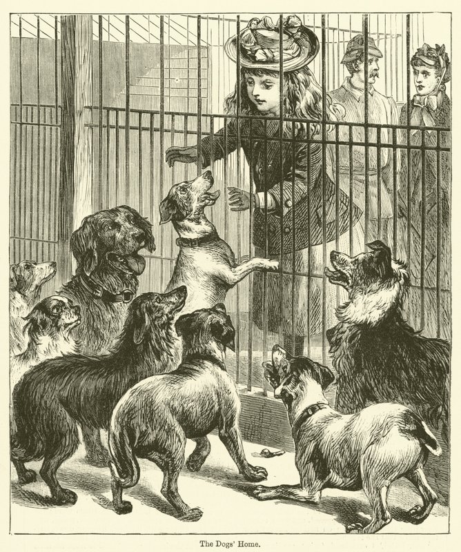 Köpeklerin Evi (gravür) by English School