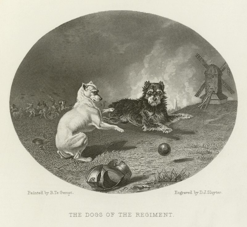 Alayın Köpekleri by English School