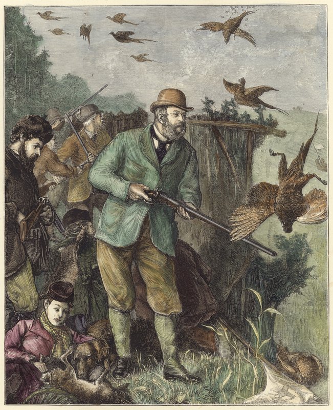 Duke sıcak bir köşede by English School