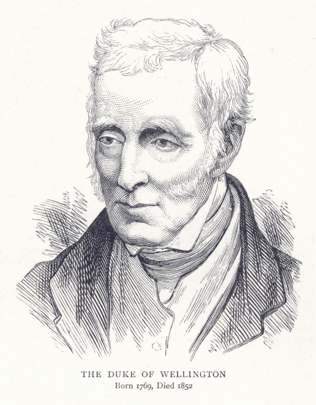 Wellington Dükü by English School
