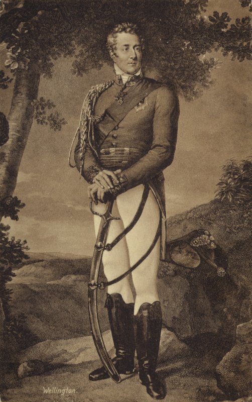 Wellington Dükü by English School