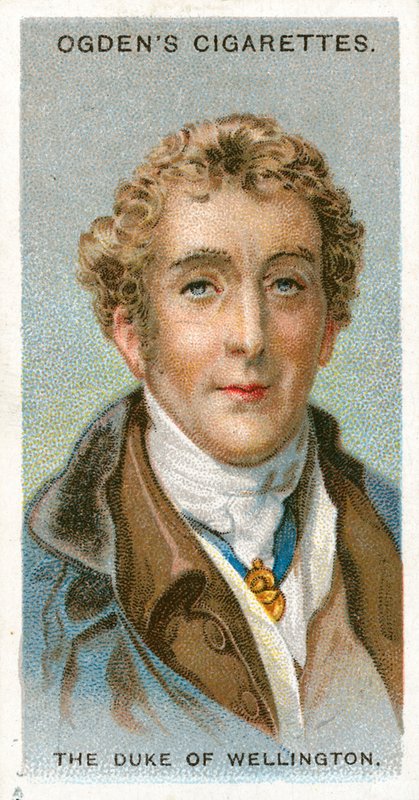 Wellington Dükü by English School
