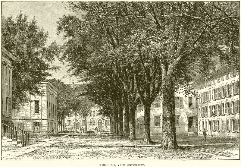 Elms, Yale Üniversitesi by English School