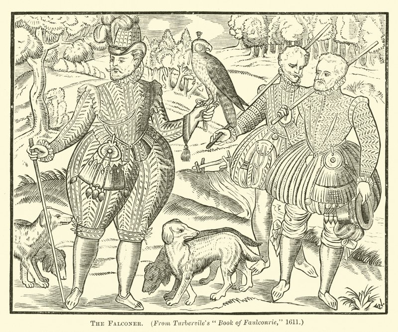 Falconer by English School
