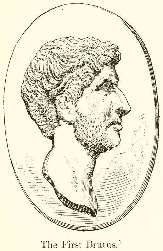 İlk Brütüs by English School