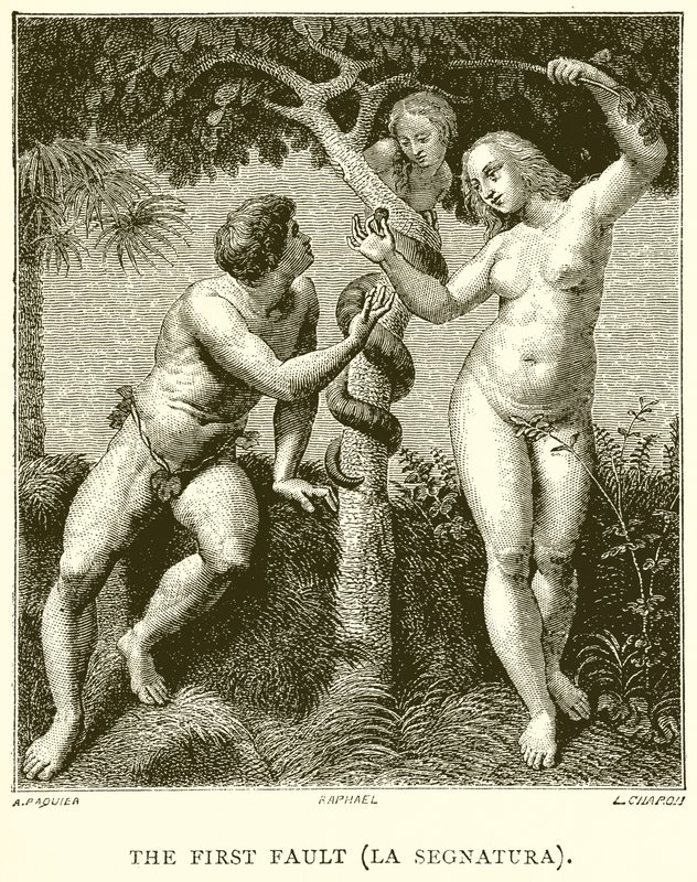 İlk Hata (La Segnatura) by English School
