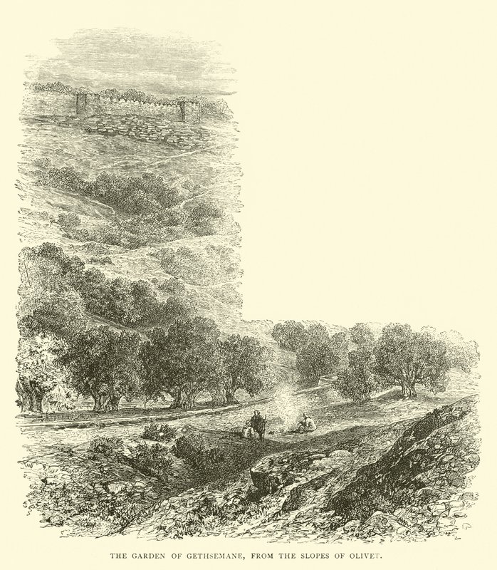 Gethsemane Bahçesi, Olivet